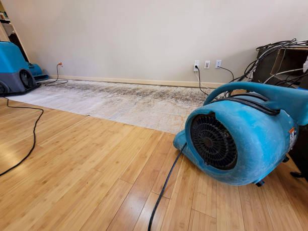 Professional Flood Damage Cleanup technician working in Atlanta, TX